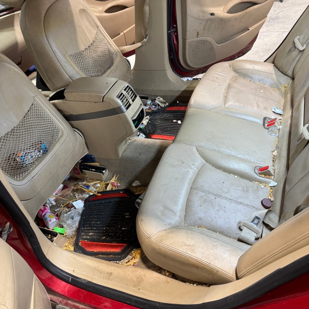 before image of car interior